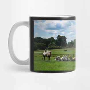 Double humped camels Mug